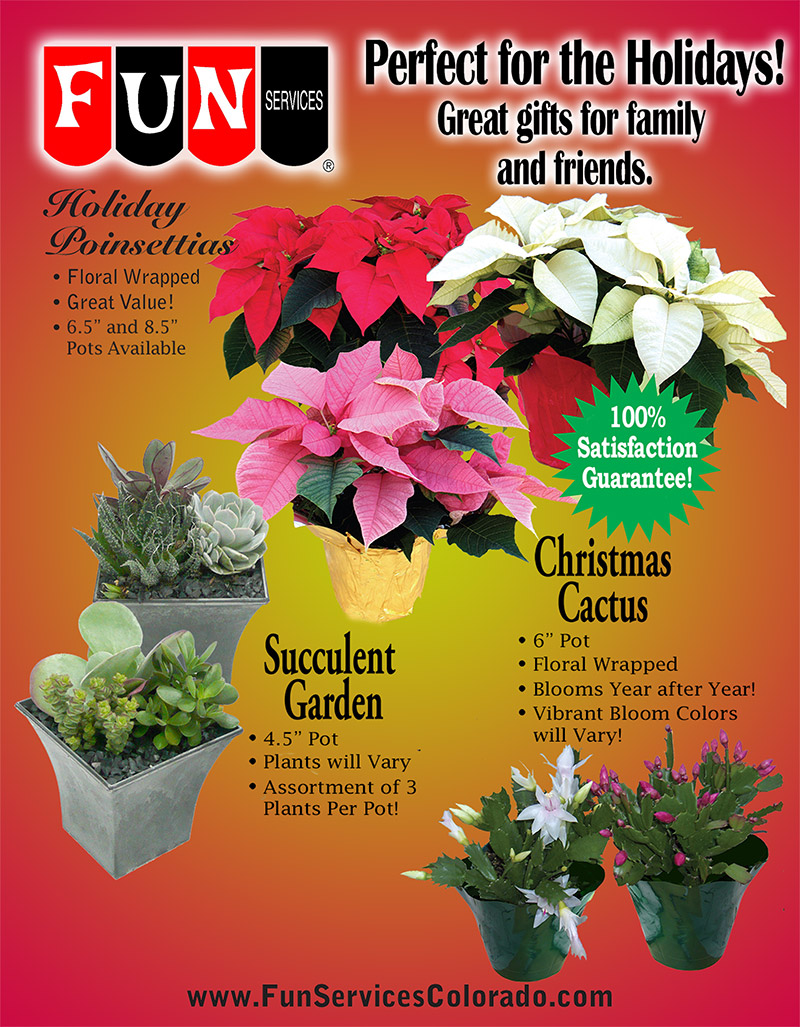 Holiday Plants Holiday Plants