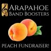 Peach Fundraiser peach